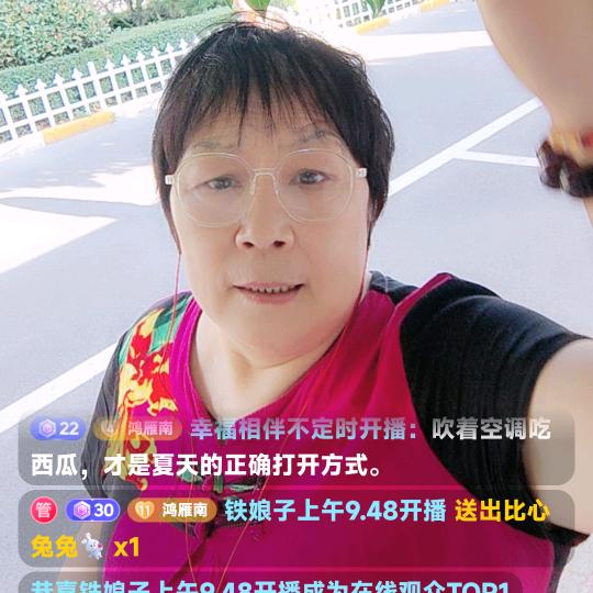 鸿雁南飞