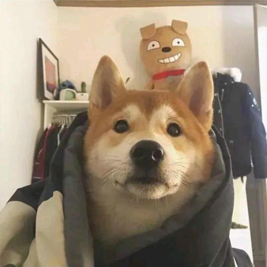 可叹相思何解