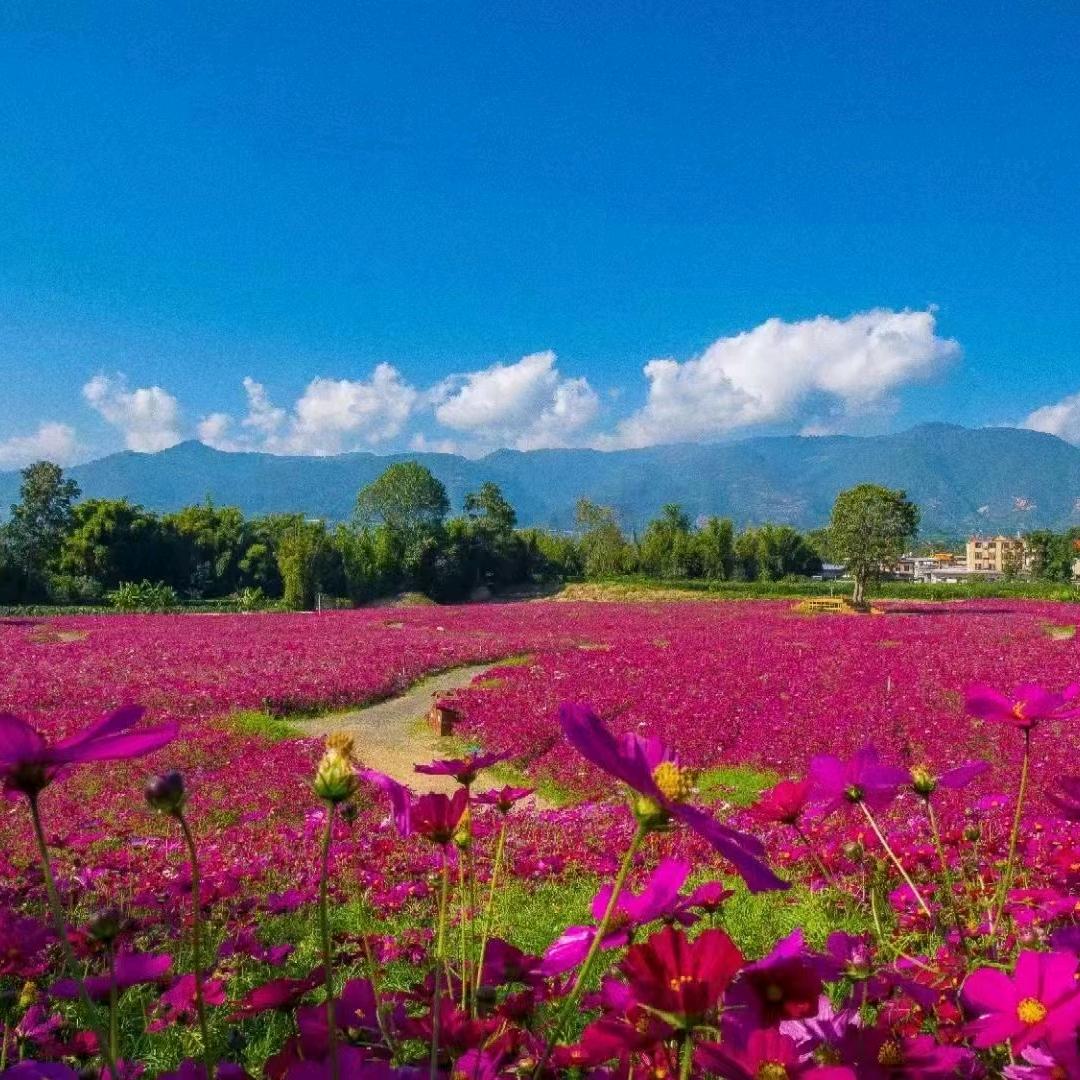 贵州赤水天鹅堡+云南保山勐赫小镇汪伟