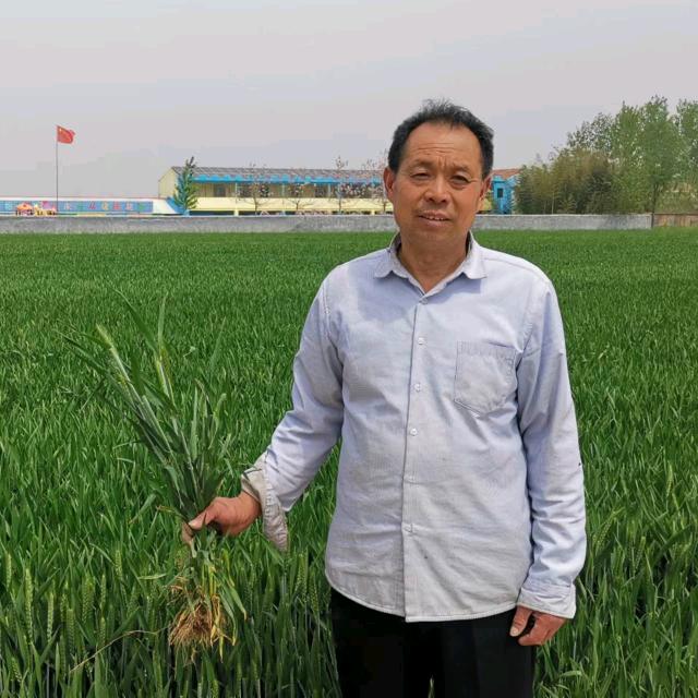 启军说农业