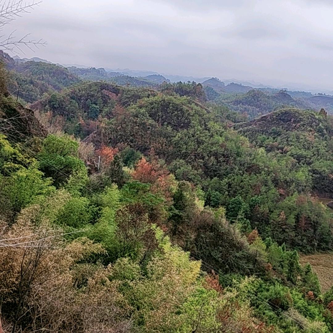 开心快乐每一天。