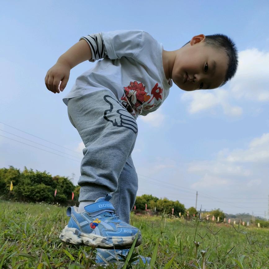 林林273739
