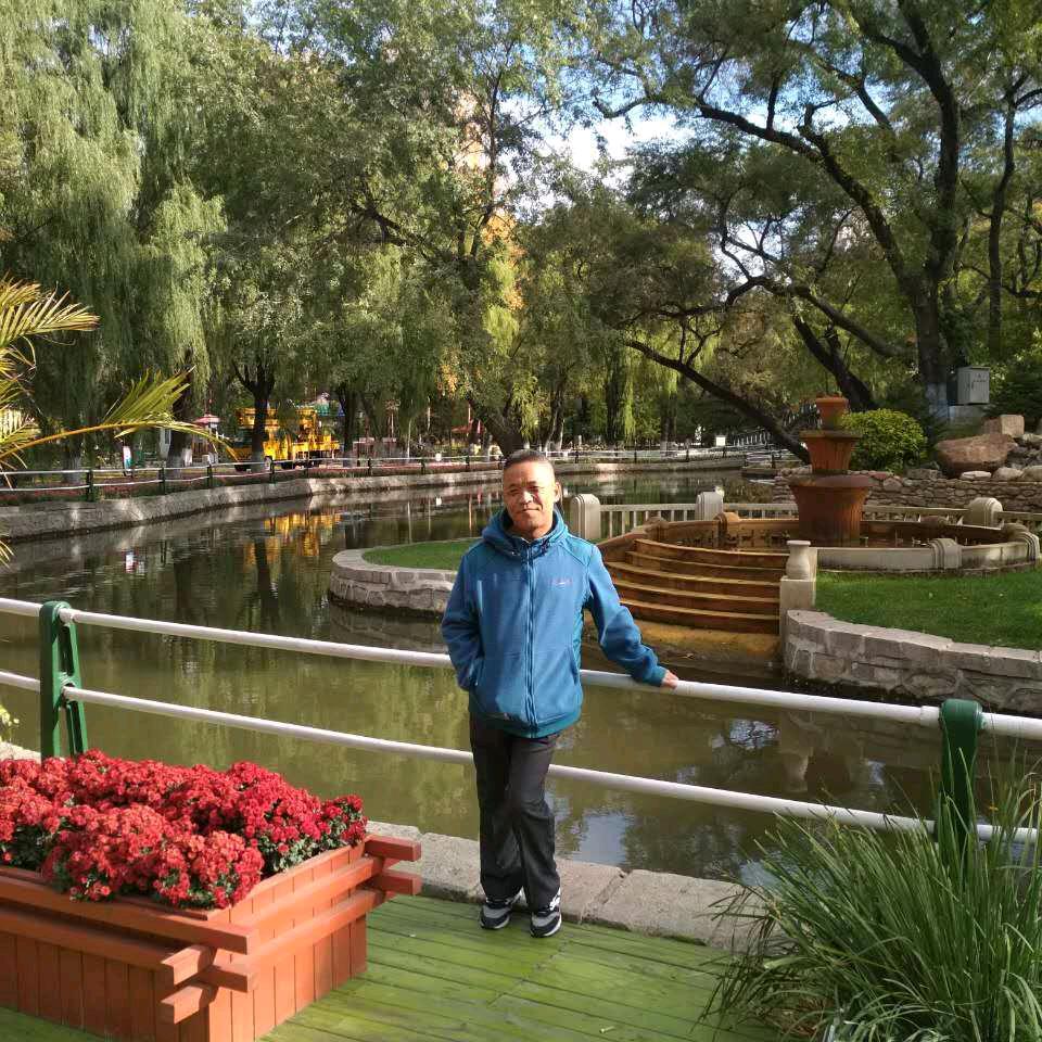 龙御九天