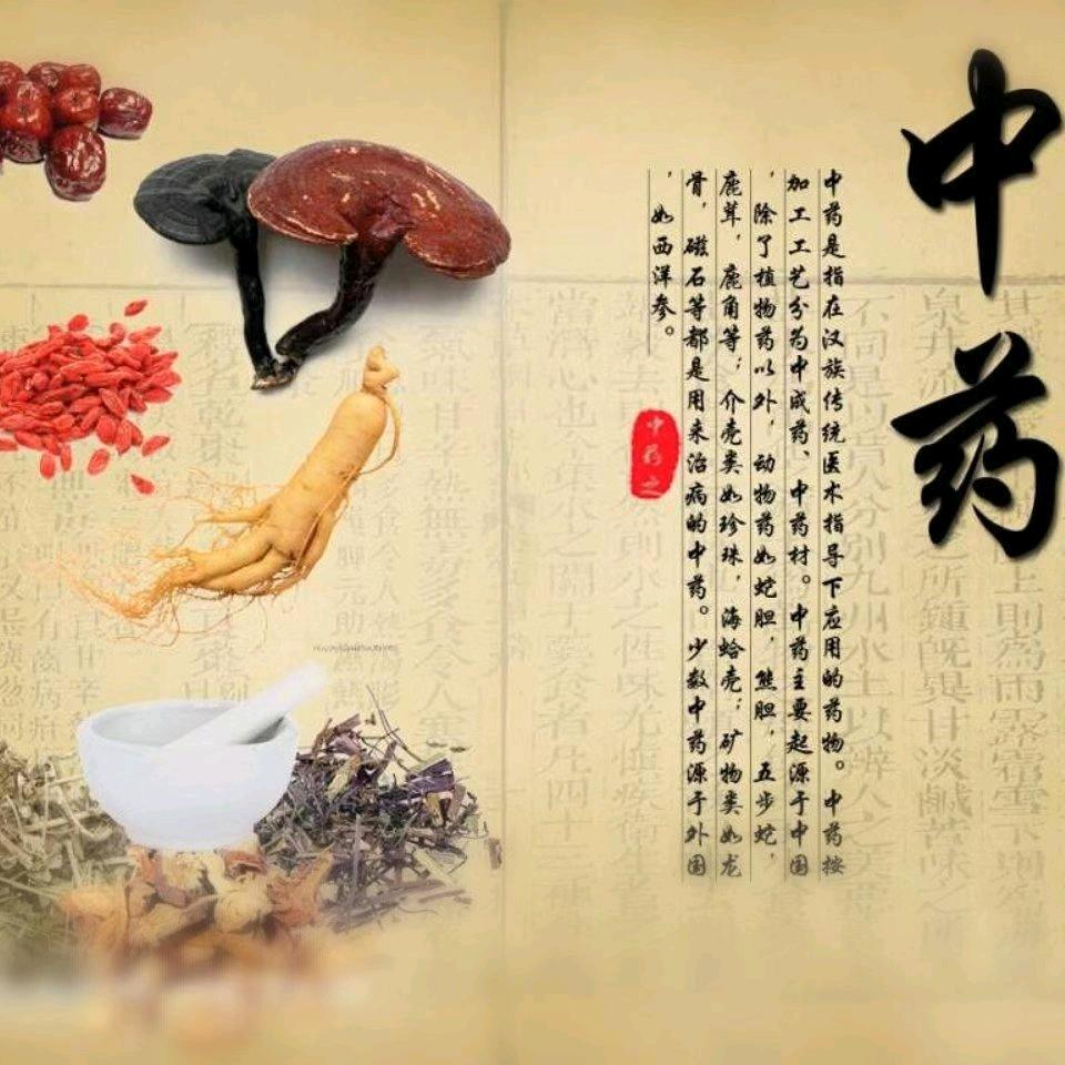 百草滋补养生行