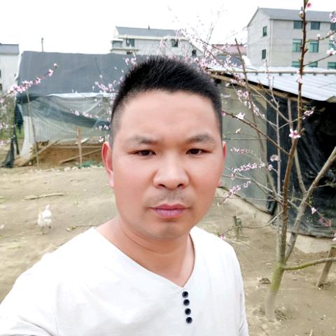 酷男
