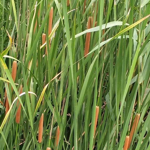 一个人的诚信。