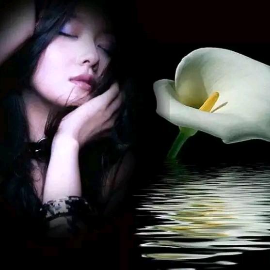 ℳঞ张鼠有王ℒℴѵ