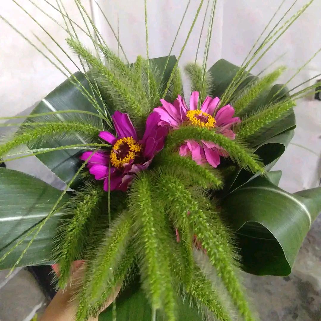 丢了幸福的猪 \_