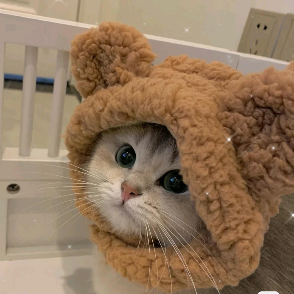 胖小宇