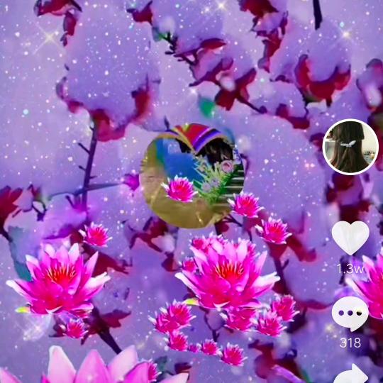 苦🌷菜🌹花🌺
