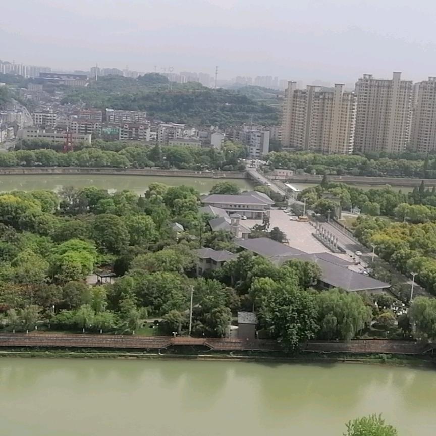 宜昌老杨