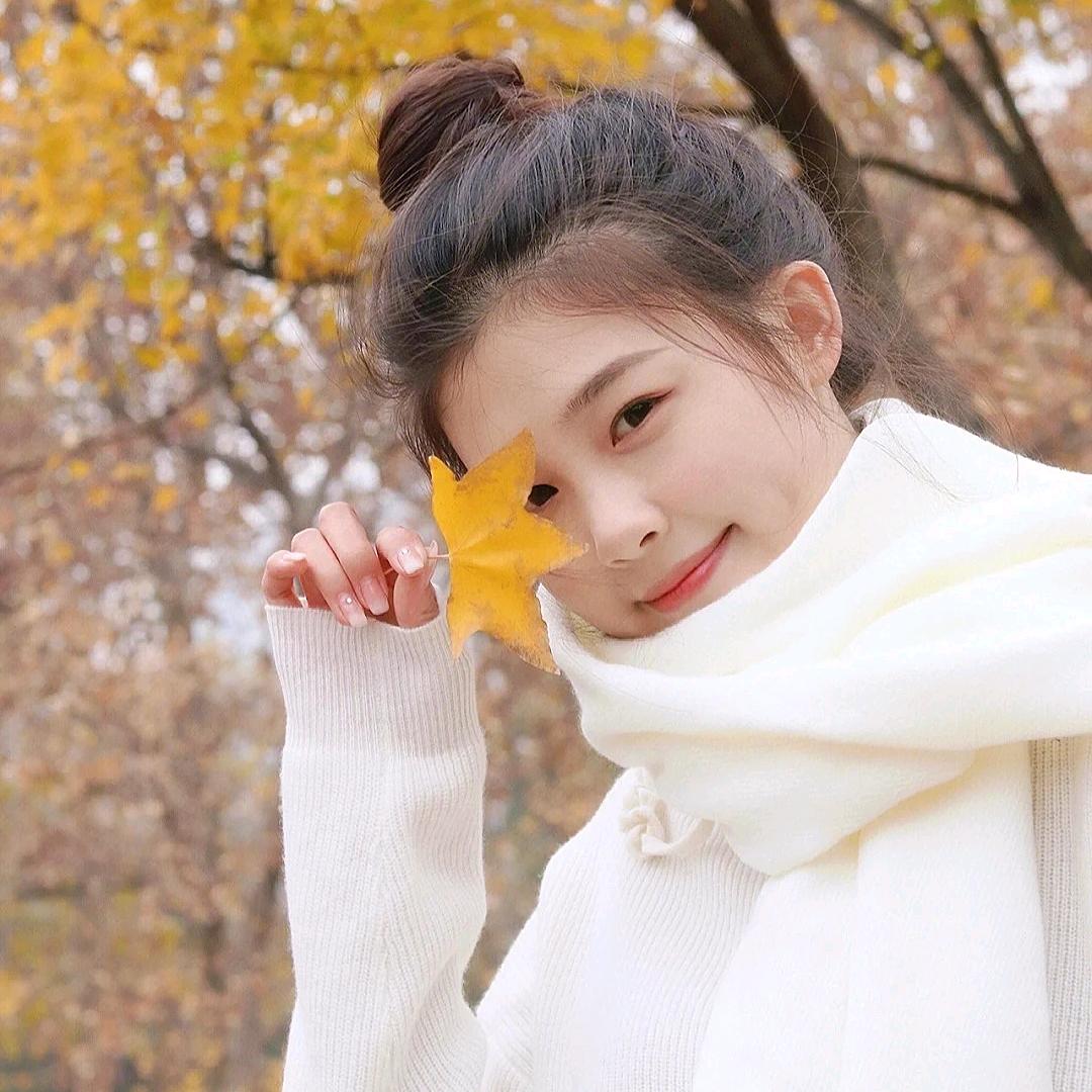 蜜柚吖
