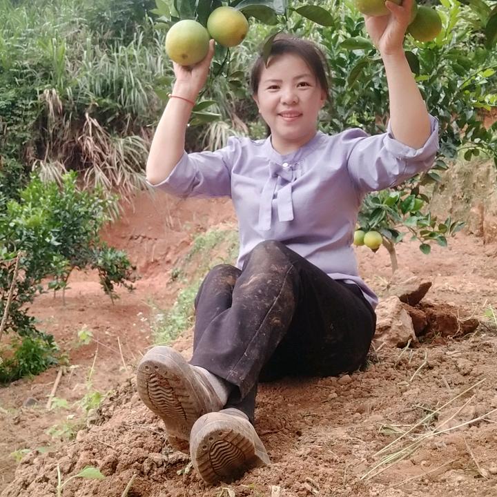 脐橙嫂