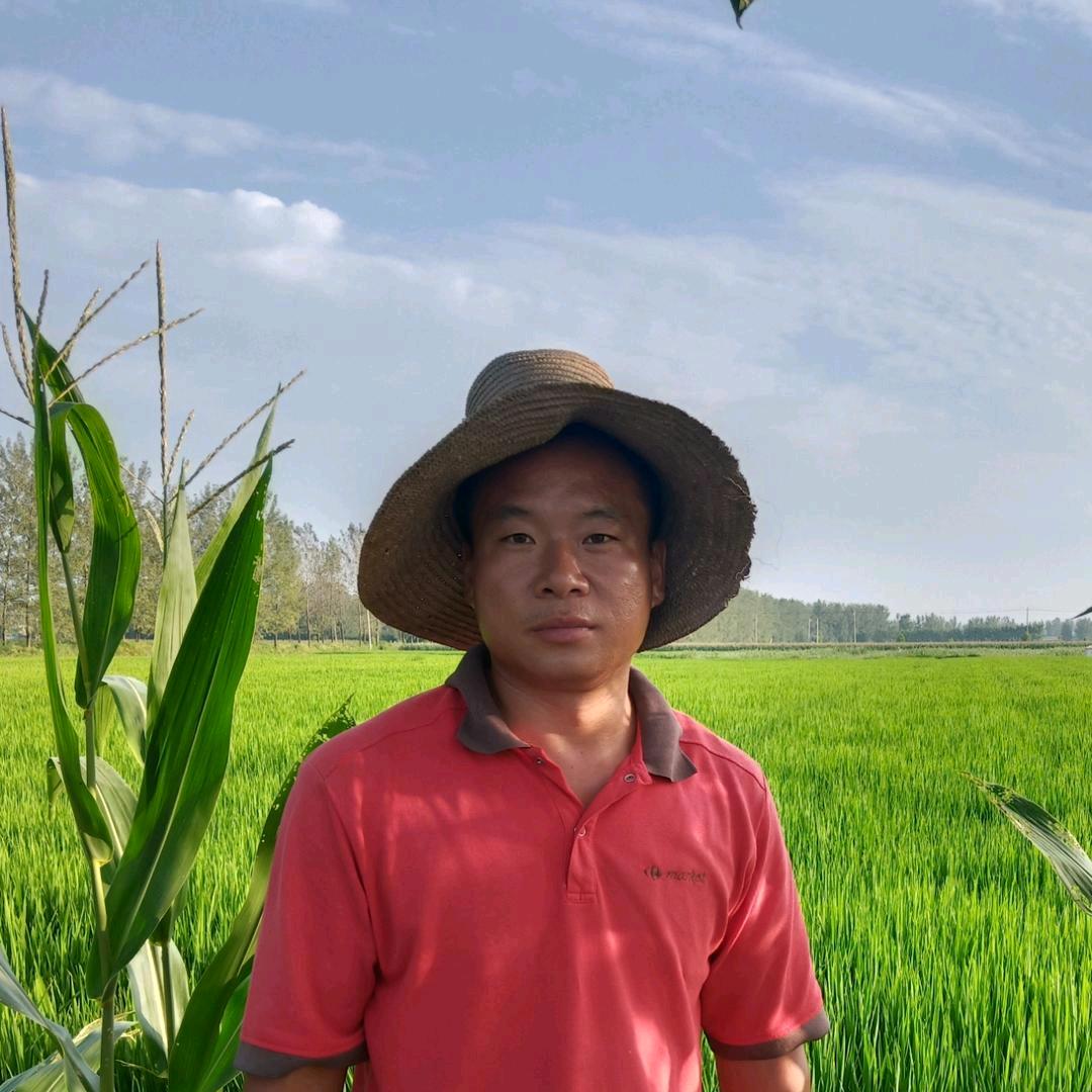 一亩田