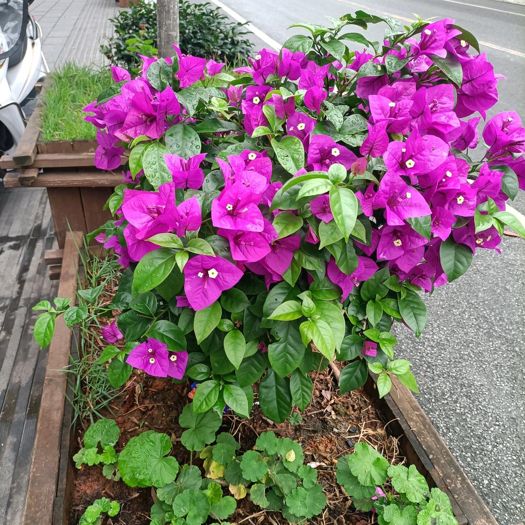 钟