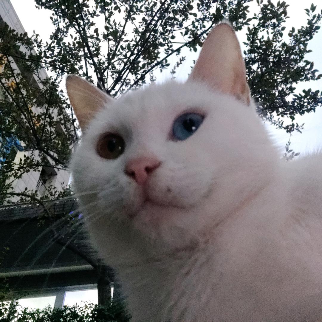 小梁（上班版）