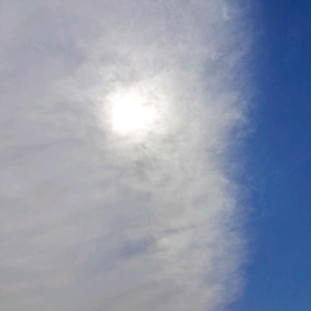 海伶