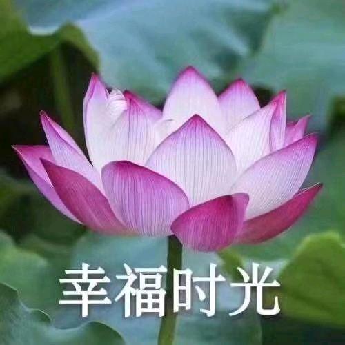 霸道多疑的慕容夏头像