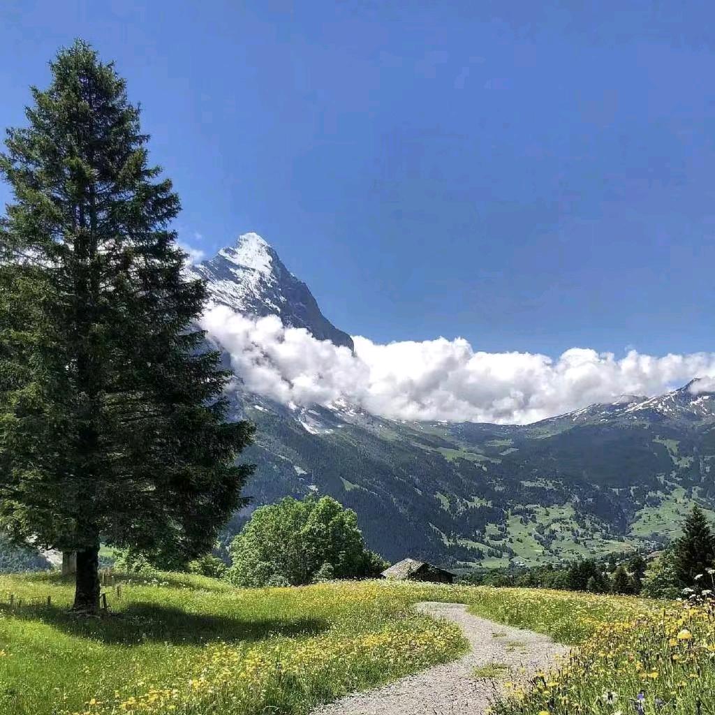 20年软件行业靠谱哥