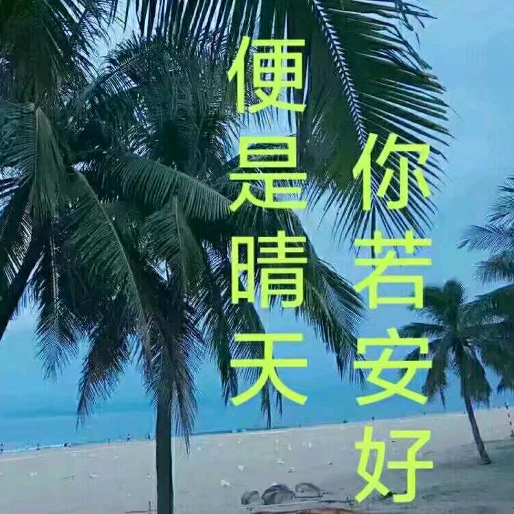 心暖冬月
