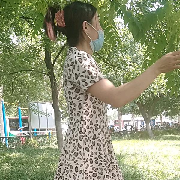 杨杨
