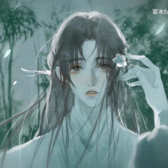 财神的好运宝