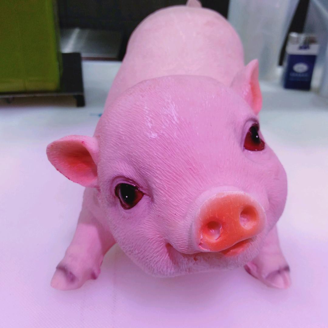 网络情缘