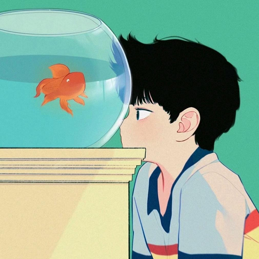 阳光彩虹小白马🌈