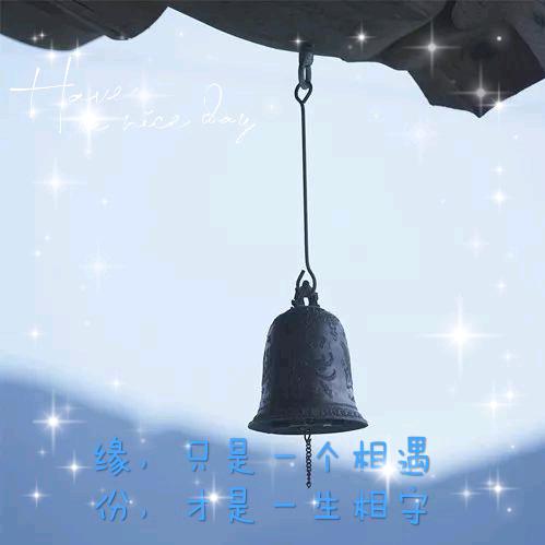 曲水无言戏年月