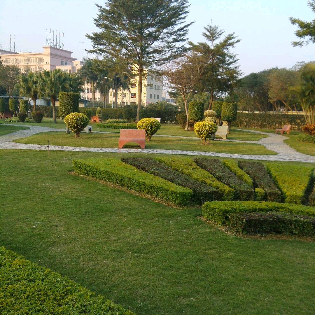 海哥正义之声（网络-视频—观-真相）