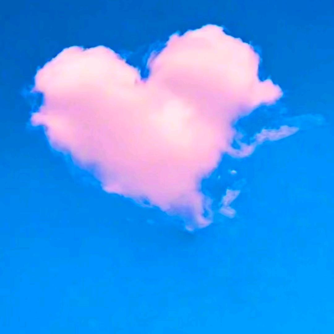 是阿华呀૮•𖥦•აᐝ头像