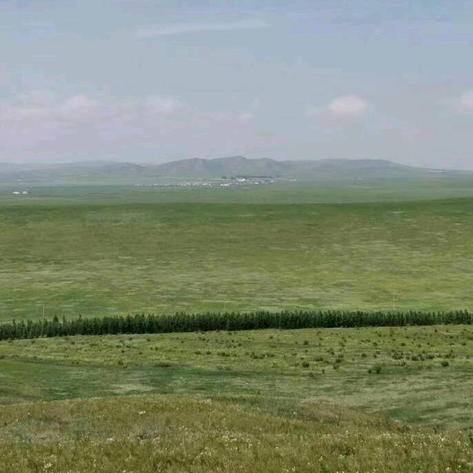 柯南（柯南家转运）