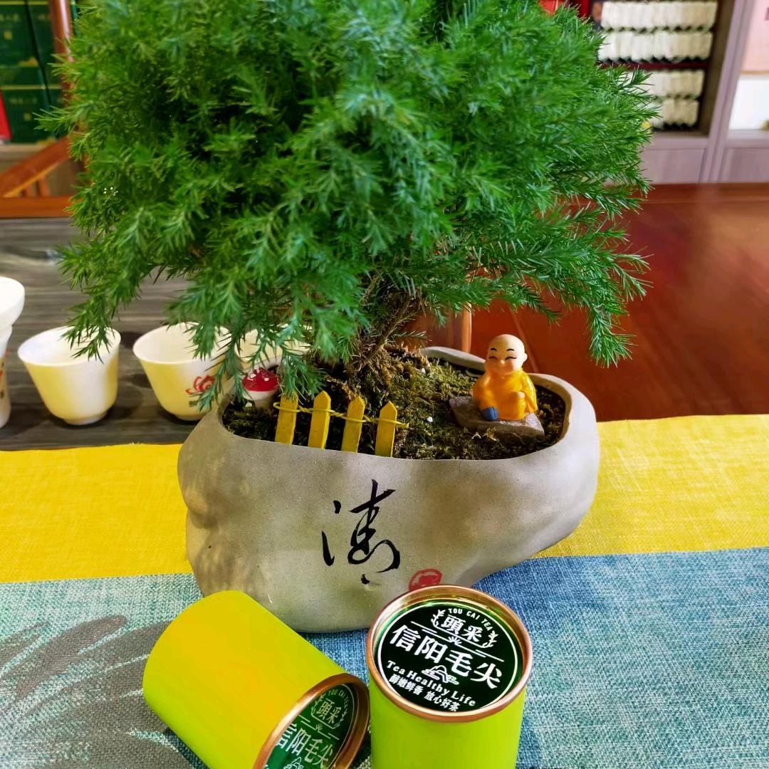 木明茶业