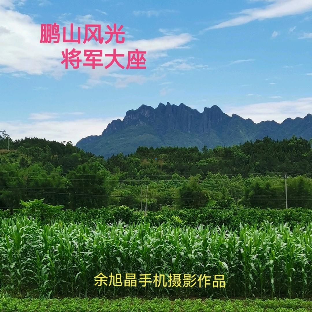 广西余哥祖传国学