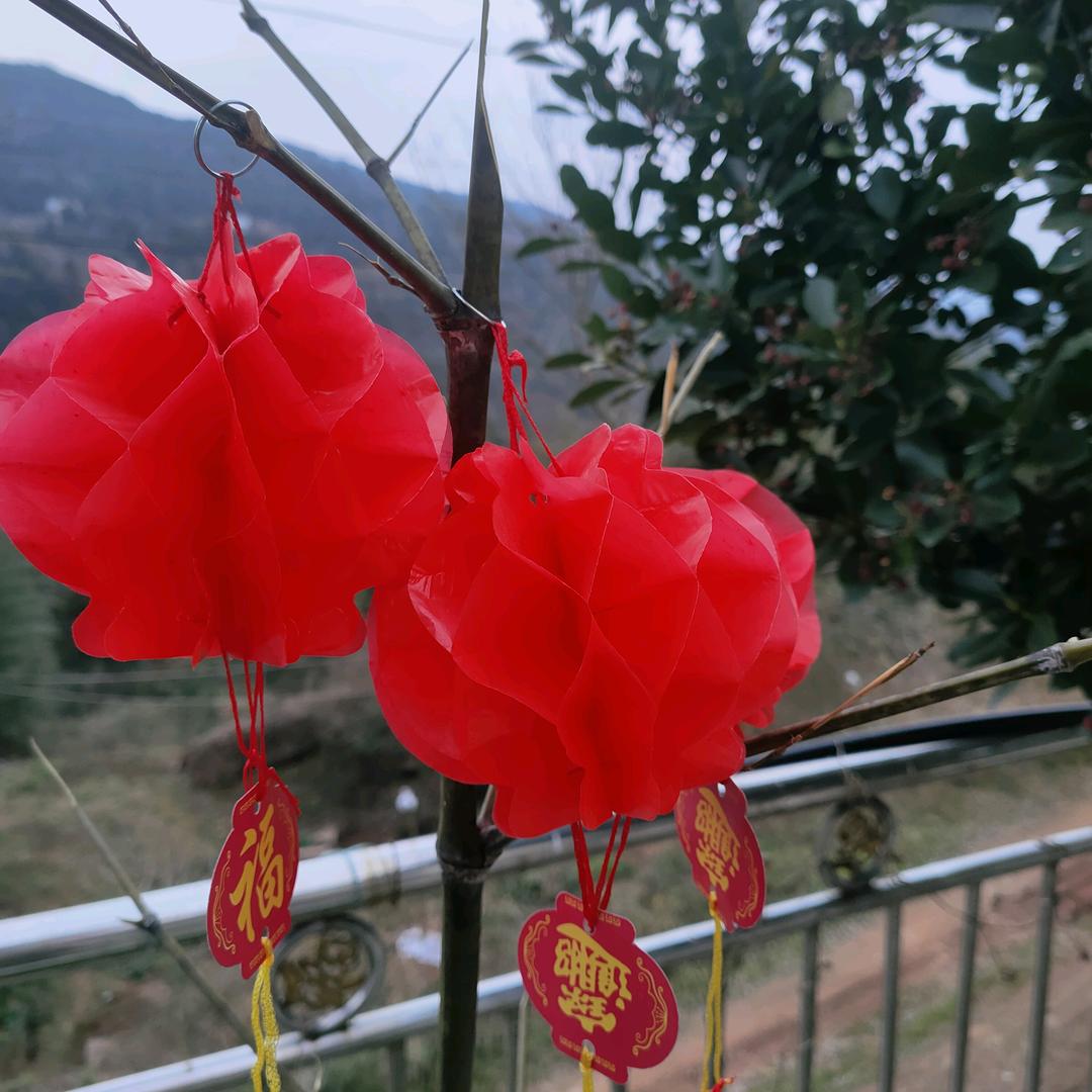 小华