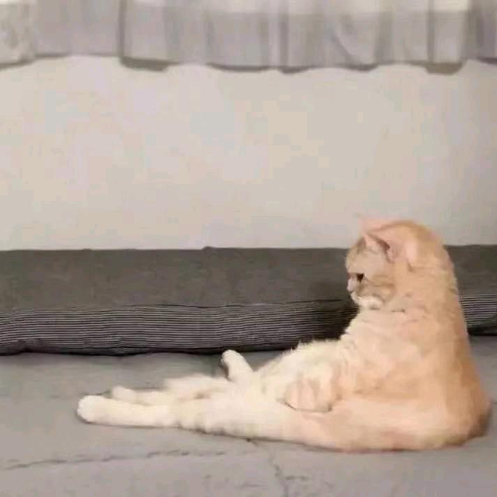 着迷灬