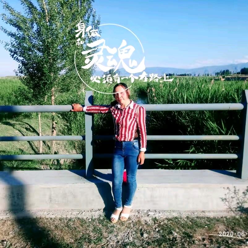 巴哈达古力