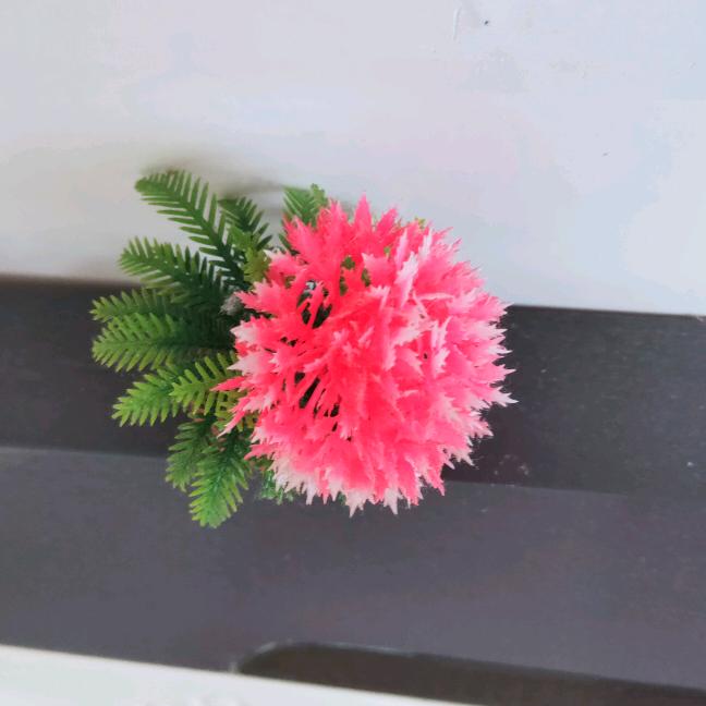 大约在冬季  。