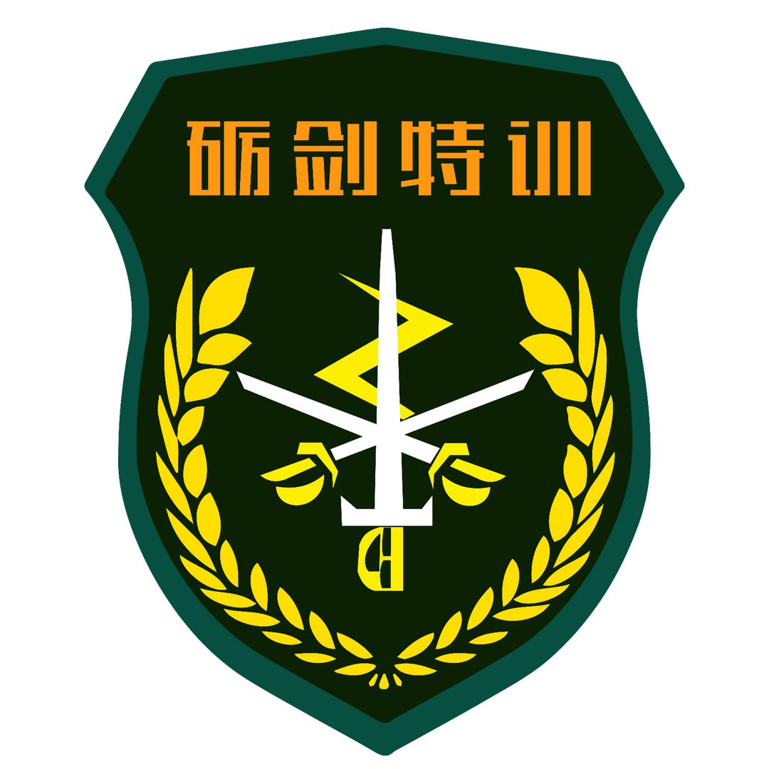 安庆砺剑特训