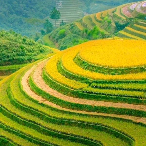昊昊奶