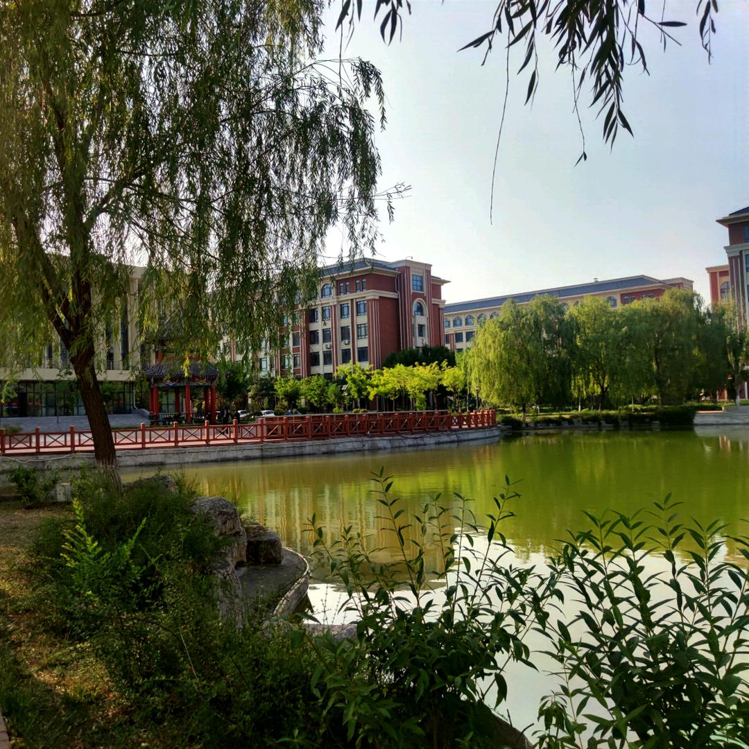 小泰