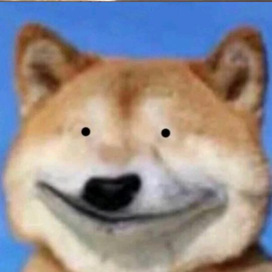 路亚小白