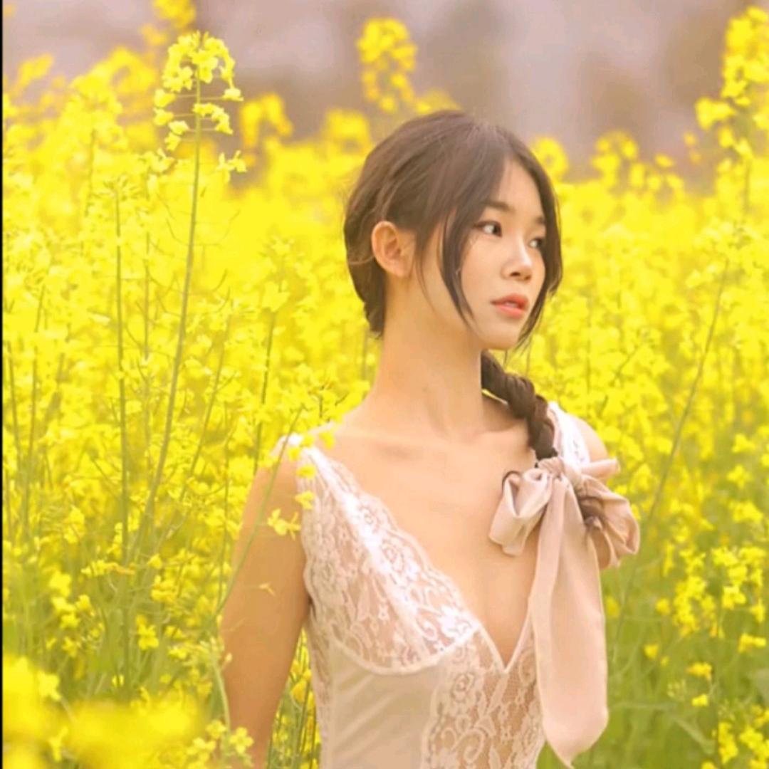 涪陵柳儿
