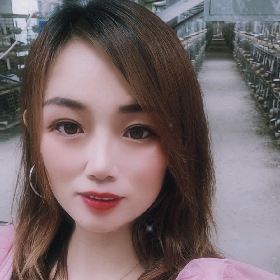 秋丽鸽业