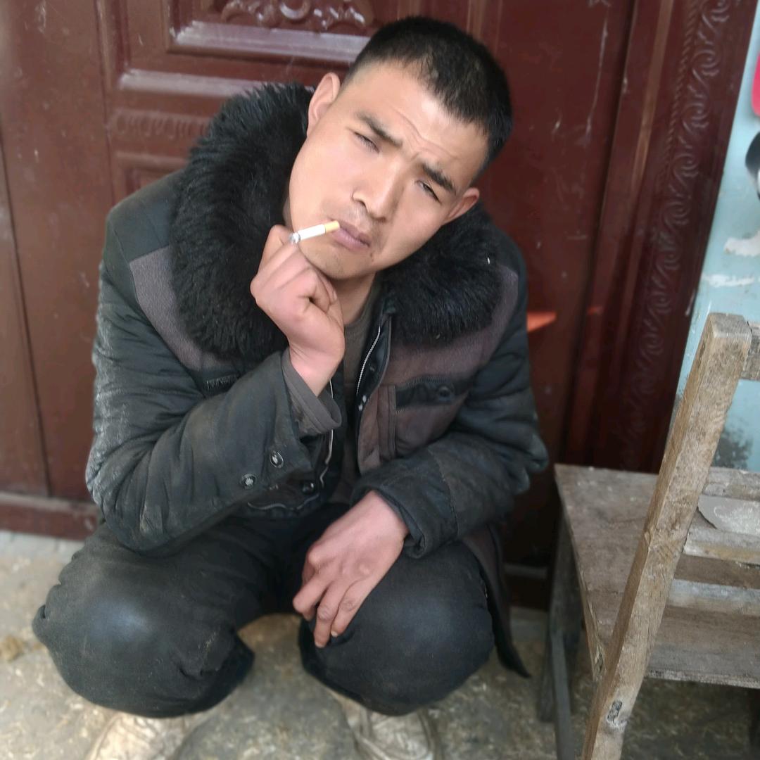 发哥说牛羊