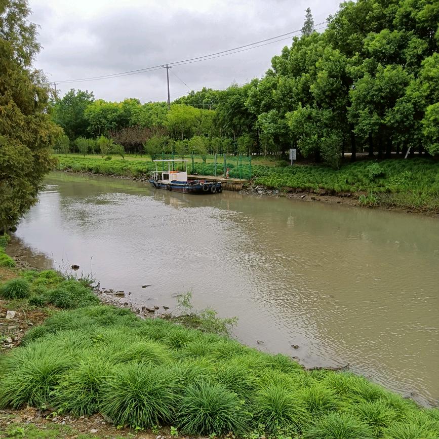 云淡风轻(•̀ᴗ• )