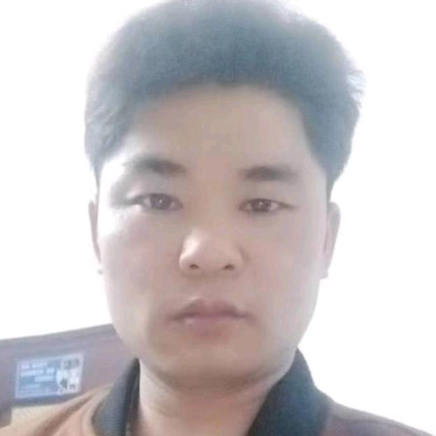 粤G活鲜快车