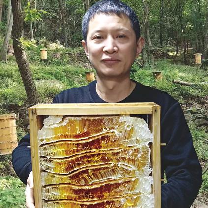 大靠山蜂产品