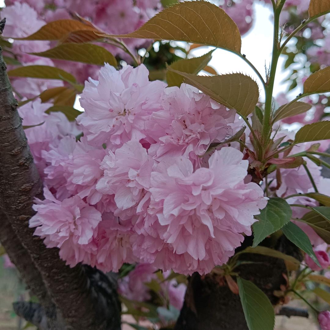 逶迤