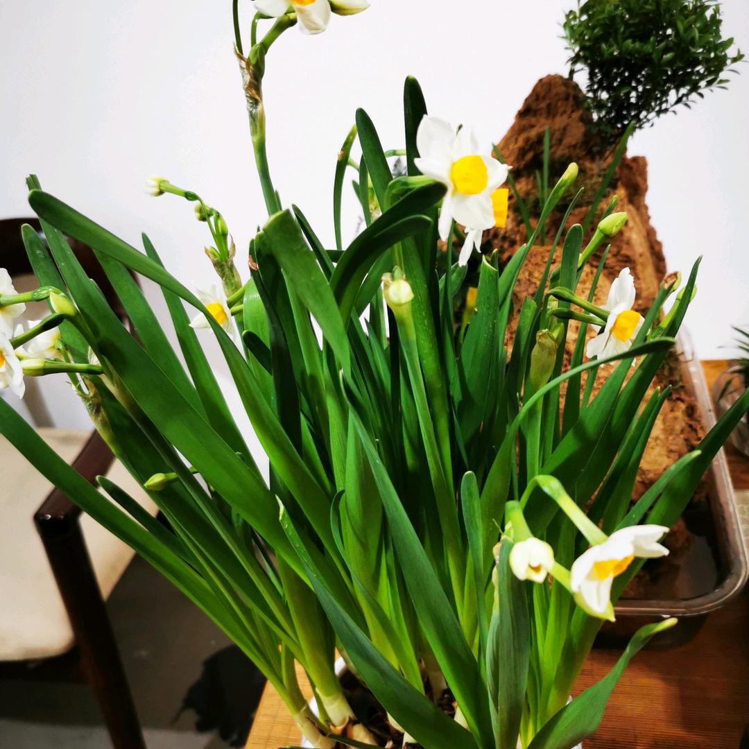 博文不锈钢水箱厂家